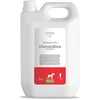 Natural Derma Pet Chlorhexidine šampūnas jautriai šunų odai