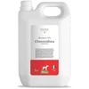 Natural Derma Pet Chlorhexidine šampūnas jautriai šunų odai