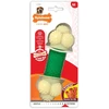 Nylabone Extreme Double Action kramtakšlis – įvairios tekstūros, su kiaulienos ir mėtų skoniu, vidutinio dydžio