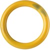 Nylabone Extreme Ring Chew L – Patvarus sūrio ir šoninės skonio kramtomasis žaislas, didelis dydis