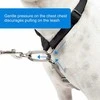PetSafe 3in1 pavadėlis ir automobilinis saugos diržas – reguliuojamo vidutinio dydžio, saugus daugiafunkcis dizainas