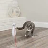 PetSafe Flamingo - Bolt Automatic lazerinis žaislas