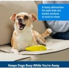 PetSafe Busy Buddy Frosty Cone – Žaislas kramtymui su šaldytais skanėstais, ledų formos, vidutinio/didumo, patvarus