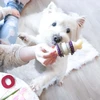 PetSafe Busy Buddy Bristle Bone kramtomasis žaislas – maži, dantų valymo dizaino su skanėstu