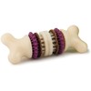 PetSafe Busy Buddy Bristle Bone kramtomasis žaislas – maži, dantų valymo dizaino su skanėstu