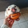 PetSafe Busy Buddy Chompin' Chicken šunų kramtomasis žaislas – Vištienos kojelės formos, mažas/vidutinis, patvarus dizainas
