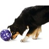 PetSafe Busy Buddy Kibble Nibble skanėstų žaisliukas – mažas, kiaušinio formos, patvarus dozatorius