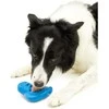 PetSafe Busy Buddy Chilly Penguin Šunų žaislas su šaldytais skanėstais – Patvaraus pingvino dizainas, vidutinis/didelis