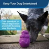 PetSafe Busy Buddy Squirrel Dude – Tvirtas šunų smaguris kramtomasis žaislas, mažas dydis, įtraukiantis dizainas