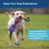 PetSafe Busy Buddy Tug-A-Jug interaktyvus buteliuko formos žaislas – itin mažas, patvarus