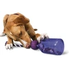 PetSafe Busy Buddy Tug-A-Jug interaktyvus buteliuko formos žaislas – itin mažas, patvarus
