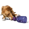 PetSafe Busy Buddy Tug-A-Jug interaktyvus buteliuko formos žaislas – itin mažas, patvarus