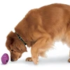 „PetSafe“ Busy Buddy Twist'n Treat šunų kramtomasis žaislas – didelis, reguliuojamas skanėstų dozatorius, patvarus dizainas
