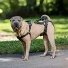 PetSafe CareLift atrampas atbalsta – vidēja izmēra, ergonomisks pacelšanas palīglīdzeklis lielām šķirnēm