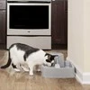 PetSafe Drinkwell vandens fontanėlis – vidutinės talpos, tylus srautas, lengvai valomas dizainas