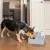 PetSafe Drinkwell vandens fontanėlis – vidutinės talpos, tylus srautas, lengvai valomas dizainas