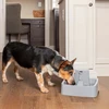 PetSafe Drinkwell vandens fontanėlis – vidutinės talpos, tylus srautas, lengvai valomas dizainas