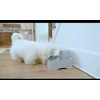 PetSafe Drinkwell vandens fontanėlis – vidutinės talpos, tylus srautas, lengvai valomas dizainas