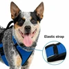 PetSafe Easy Sport pakinkalas M dydžio, mėlynas – be spaudimo, reguliuojamas, patogiai priglundantis
