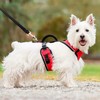 PetSafe Easy Sport pavadėlis Raudonas – švelnus slėgis, reguliuojamas dizainas, mažas dydis, patogus prigludimas