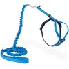 PetSafe Easy Walk katės diržas – Karališkai mėlynas bungee diržas ir pavadėlis, mažas dydis