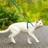 PetSafe Easy Walk katės diržas – Karališkai mėlynas bungee diržas ir pavadėlis, mažas dydis