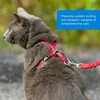 PetSafe Easy Walk katės diržas – Karališkai mėlynas bungee diržas ir pavadėlis, mažas dydis