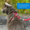 PetSafe Easy Walk katės diržas – Karališkai mėlynas bungee diržas ir pavadėlis, mažas dydis