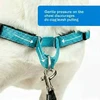 PetSafe Easy Walk Deluxe pavadėlis – švelnus juodas ir mėlynas šuns pavadėlis su pavadėliu, vidutinio dydžio