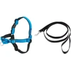 PetSafe Easy Walk Deluxe pavadėlis – švelnus juodas ir mėlynas šuns pavadėlis su pavadėliu, vidutinio dydžio