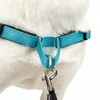 PetSafe Easy Walk Deluxe pavadėlis – švelnus juodas ir mėlynas šuns pavadėlis su pavadėliu, vidutinio dydžio