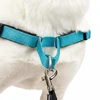 PetSafe Easy Walk Deluxe pavadėlis – švelnus juodas ir mėlynas šuns pavadėlis su pavadėliu, vidutinio dydžio