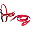 PetSafe Easy Walk dirželių ir pavadėlio komplektas – raudonas, XL, reguliuojamas, patogus dizainas
