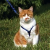 PetSafe Easy Walk katės diržas – Karališkai mėlynas bungee diržas ir pavadėlis, mažas dydis