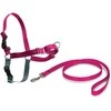 PetSafe Easy Walk pavadėlio ir antkaklio rinkinys – avietiškai rožinis, didelis, patogus dizainas be traukimo