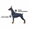 PetSafe Easy Walk pavadėlio ir antkaklio rinkinys – avietiškai rožinis, didelis, patogus dizainas be traukimo
