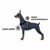 PetSafe Easy Walk dirželių ir pavadėlio komplektas – raudonas, XL, reguliuojamas, patogus dizainas