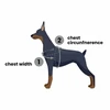 PetSafe Easy Walk dirželių ir pavadėlio komplektas – raudonas, XL, reguliuojamas, patogus dizainas