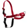 PetSafe Easy Walk dirželių ir pavadėlio komplektas – raudonas, XL, reguliuojamas, patogus dizainas