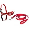 PetSafe Easy Walk dirželių ir pavadėlio komplektas – raudonas, XL, reguliuojamas, patogus dizainas