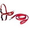 PetSafe Easy Walk dirželių ir pavadėlio komplektas – raudonas, XL, reguliuojamas, patogus dizainas