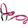 PetSafe Easy Walk pavadėlio ir antkaklio rinkinys – avietiškai rožinis, didelis, patogus dizainas be traukimo
