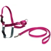PetSafe Easy Walk pavadėlio ir antkaklio rinkinys – avietiškai rožinis, didelis, patogus dizainas be traukimo