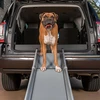 PetSafe Happy Ride Kompaktinė teleskopinė rampa – lengvas reguliuojamas dizainas, erdvę taupantis laikymas