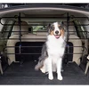 PetSafe Happy Ride Metal Dog Barrier – Reguliuojamas automobilio grotelių atskyrimas, patvari plieno konstrukcija