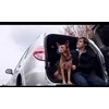 „Happy Ride“ teleskopinės rampos šunims – reguliuojamas lengvas dizainas, patvarus neslystantis paviršius – PetSafe