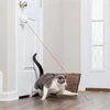 PetSafe Dancing Dot - automatinis lazerinis žaislas katėms