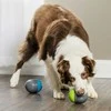PetSafe Ricochet elektroninis žaislas šunims