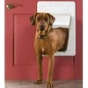 Petsafe SmartDoor Electronic Pet Door Didelės durelės su mikročipu šunims ir katėms