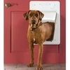 Petsafe SmartDoor Electronic Pet Door Didelės durelės su mikročipu šunims ir katėms